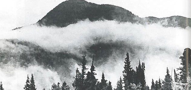 paleo-40-years-russia