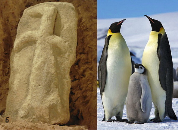 02 & 03.Gobekli seabird