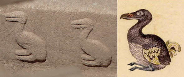 04 & 05 Gobekli dodo and illustration